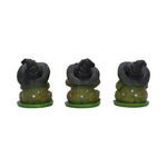 Three Wise Toads 10.3cm - 100