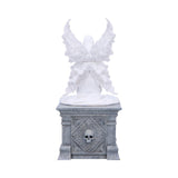 Only Love Remains Box (AS) 20.3cm - 100