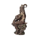 Pan (Large) 30.5cm - 10