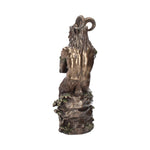Pan (Large) 30.5cm - 10