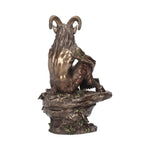 Pan (Large) 30.5cm - 10