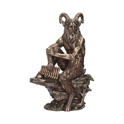 Pan (Large) 30.5cm - 10