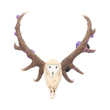Antlers of Eden 45cm - 12