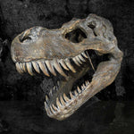 Tyrannosaurus Rex Skull Large 51.5cm B/strap - 36