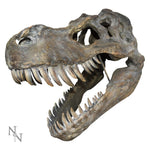 Tyrannosaurus Rex Skull Large 51.5cm B/strap - 36