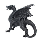 Dragon Watcher 31cm - 100