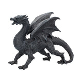 Dragon Watcher 31cm - 100