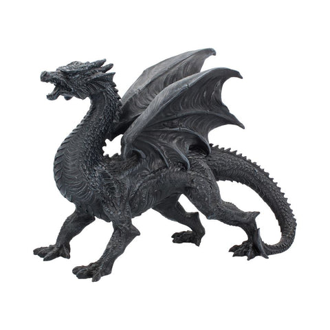 Dragon Watcher 31cm - 100