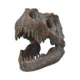 Tyrannosaurus Rex Skull Freestanding 16cm - 100