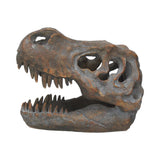 Tyrannosaurus Rex Skull Freestanding 16cm - 100