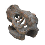 Tyrannosaurus Rex Skull Freestanding 16cm - 100