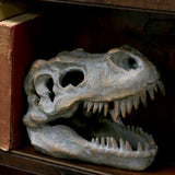 Tyrannosaurus Rex Skull Freestanding 16cm - 100