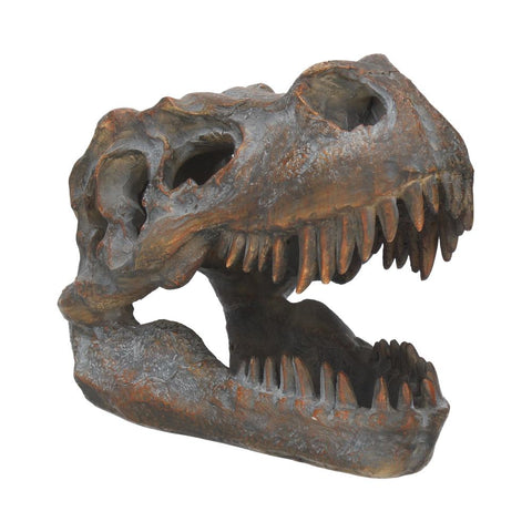 Tyrannosaurus Rex Skull Freestanding 16cm - 100