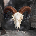Rams Skull Medium 33cm - 100
