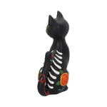 Sugar Kitty 26cm - 100