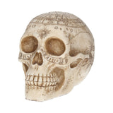 Astrological Skull 20cm - 100