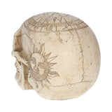 Astrological Skull 20cm - 100