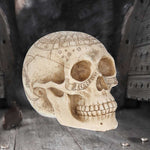 Astrological Skull 20cm - 100
