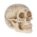 Astrological Skull 20cm - 100