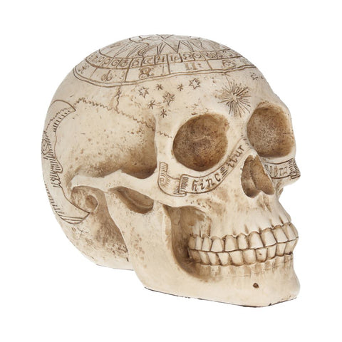 Astrological Skull 20cm - 100