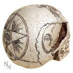 Spirits 20cm - 100