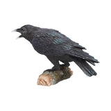 Raven's Call 20cm - 57