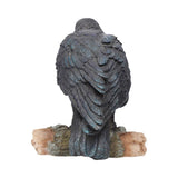 Raven's Call 20cm - 57