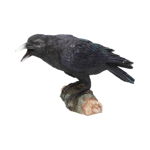 Raven's Call 20cm - 57