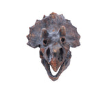 Triceratops Head 23cm - 100