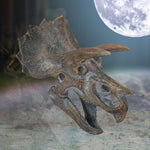 Triceratops Head 23cm - 100