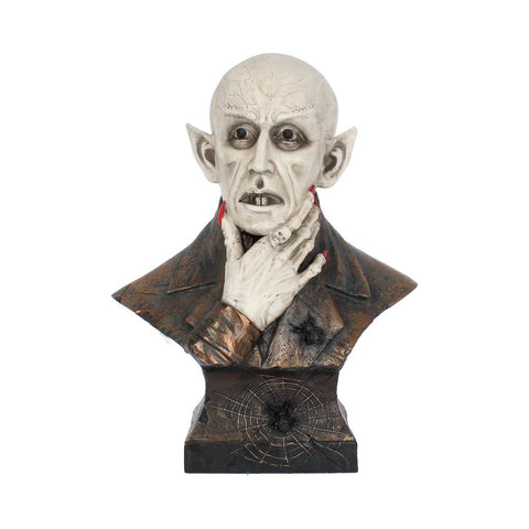 The Count 40cm - 100
