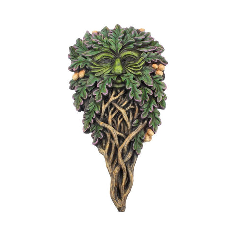 All Seeing Oak 29cm - 100