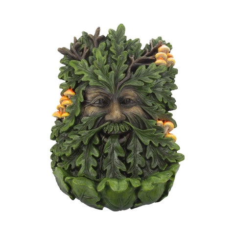 Elderwood 23.8cm - 38