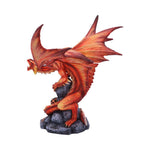 Adult Fire Dragon (AS) 24.5cm - 32