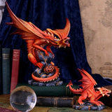 Adult Fire Dragon (AS) 24.5cm - 32