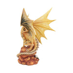 Adult Desert Dragon (AS) 24.5cm - 66