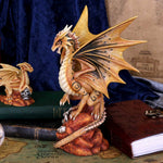 Adult Desert Dragon (AS) 24.5cm - 66