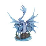Adult Water Dragon (AS) 31cm - 64