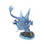 Adult Water Dragon (AS) 31cm - 64