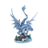 Adult Water Dragon (AS) 31cm - 64