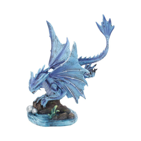 Adult Water Dragon (AS) 31cm - 64