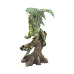 Adult Forest Dragon (AS) 25.5cm - 30