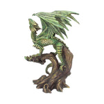 Adult Forest Dragon (AS) 25.5cm - 30