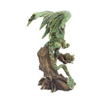 Adult Forest Dragon (AS) 25.5cm - 30