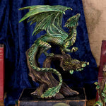 Adult Forest Dragon (AS) 25.5cm - 30