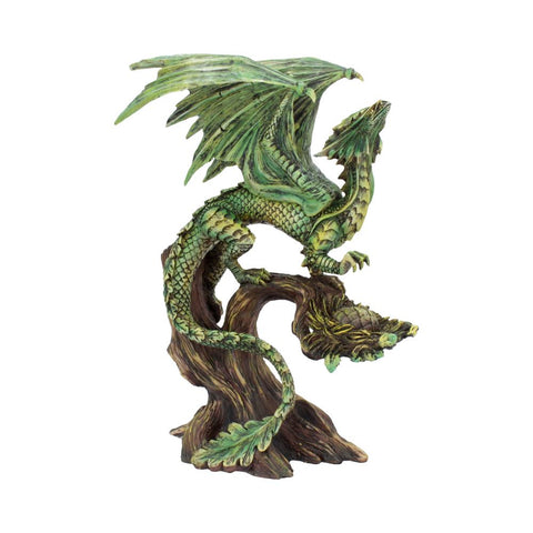 Adult Forest Dragon (AS) 25.5cm - 30