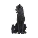 Salem 32.5cm - 100