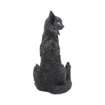 Salem 32.5cm - 100
