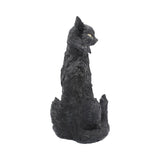 Salem 32.5cm - 100