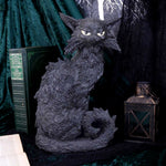 Salem 32.5cm - 100